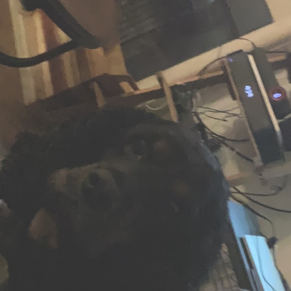 Meet your Posher, Deanna